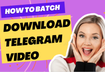 Using Telegram Video Downloader to Master the Art of Downloading
